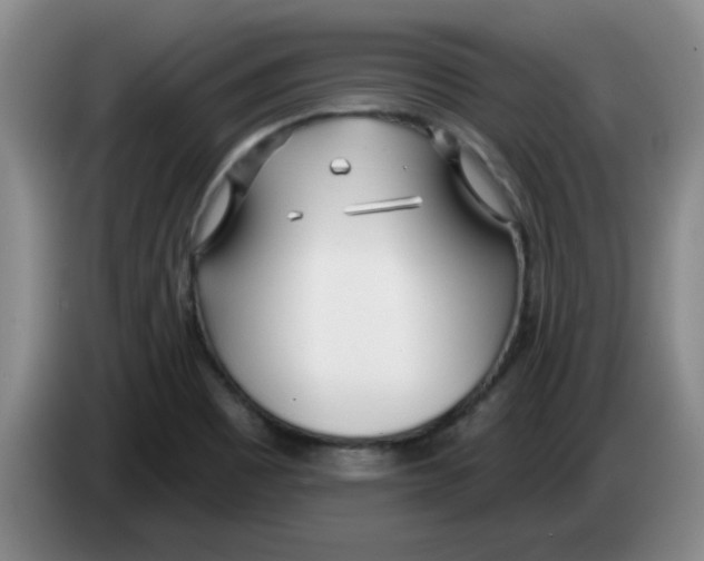 X0000083551465200703091544