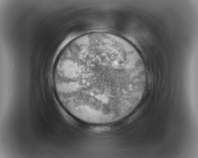X0000083551466200703091544