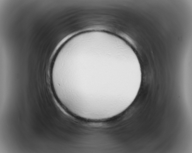 X0000083551468200703091544