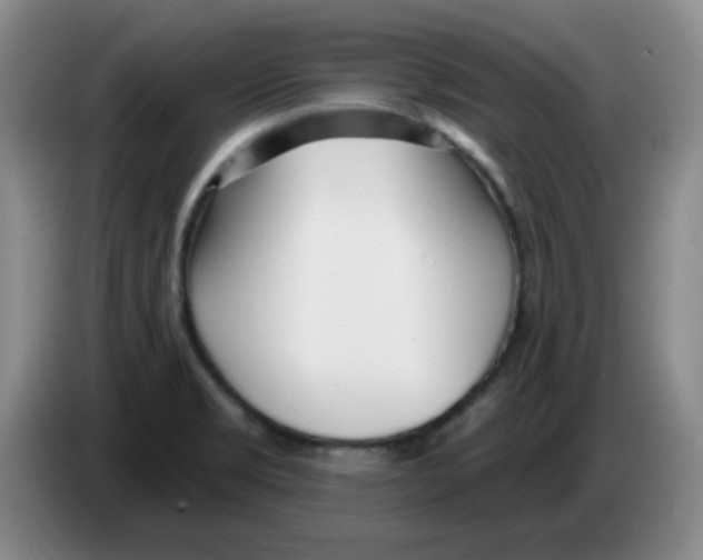 X0000083551469200703091544