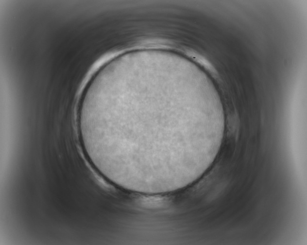 X0000083551470200703091544