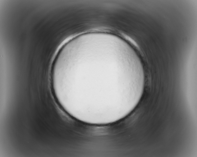 X0000083551471200703091544