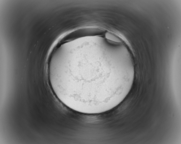 X0000083551472200703091544