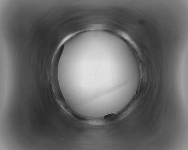 X0000083551473200703091544