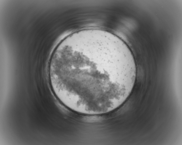 X0000083551474200703091544