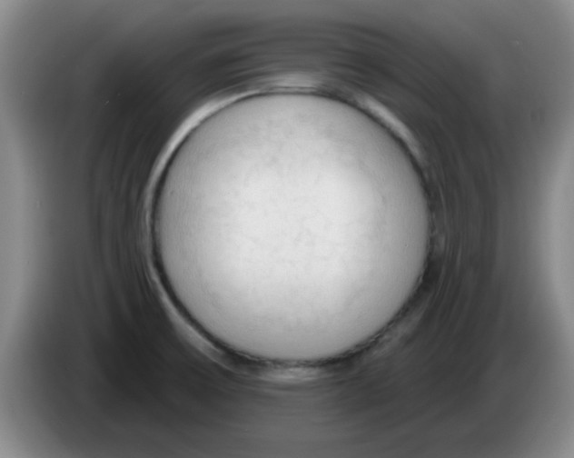 X0000083551475200703091544