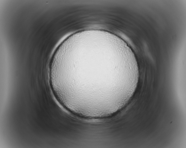 X0000083551476200703091544