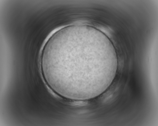 X0000083551478200703091544