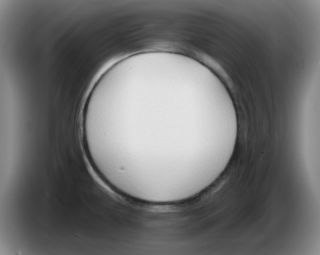 X0000083551479200703091544