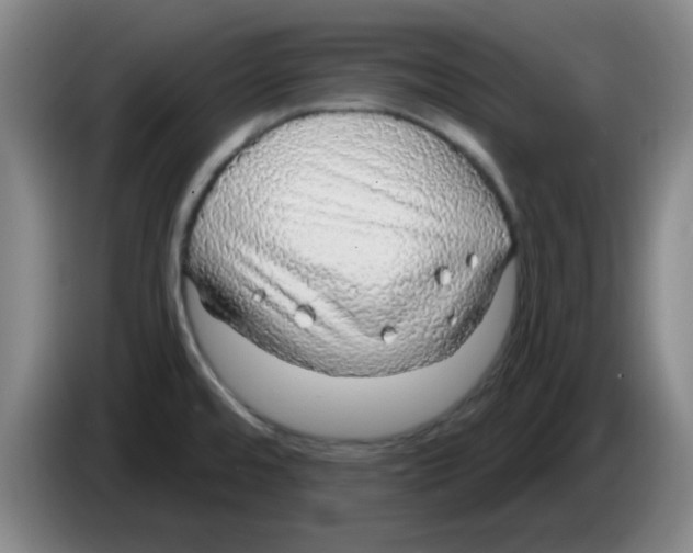 X0000083551480200703091544