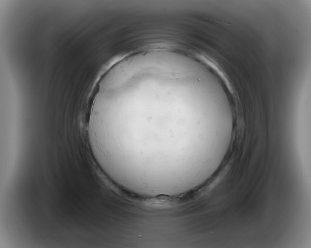 X0000083551481200703091544