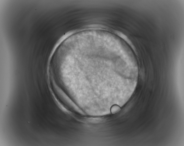X0000083551482200703091544
