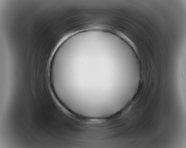 X0000083551483200703091544