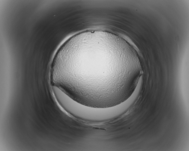 X0000083551484200703091544