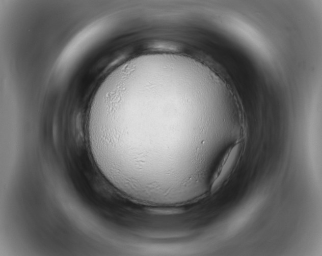 X0000083551487200703091544
