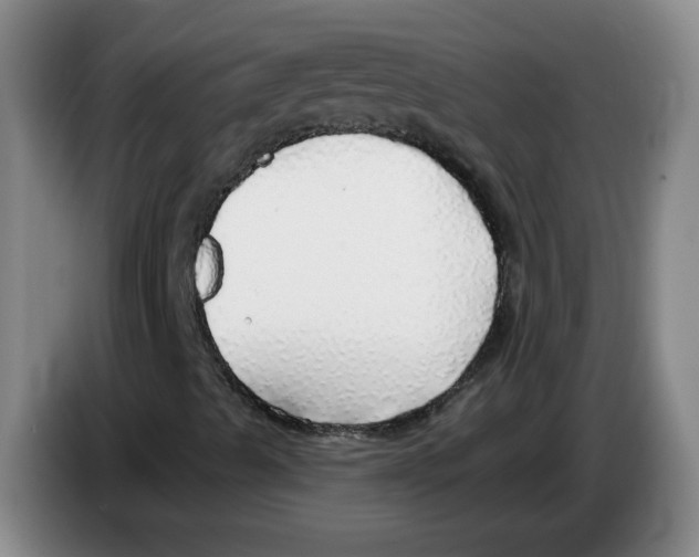 X0000083551489200703091543