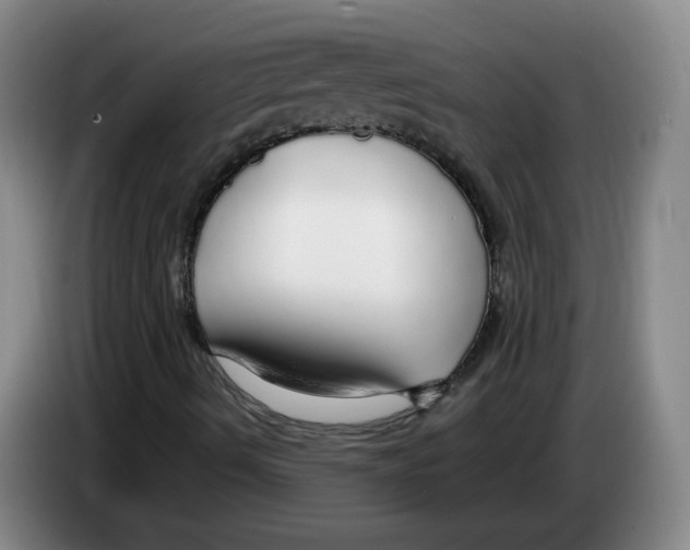 X0000083551490200703091543