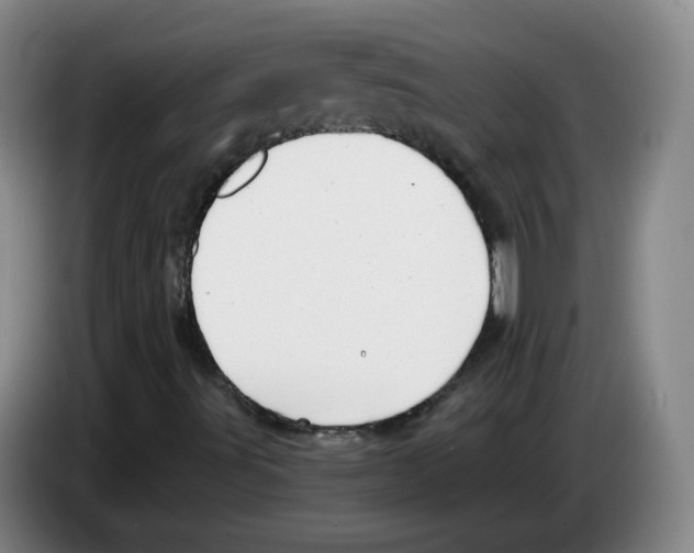 X0000083551491200703091543