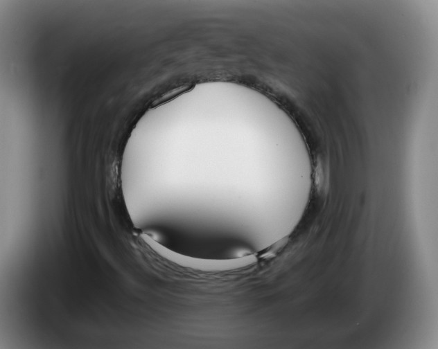 X0000083551492200703091543
