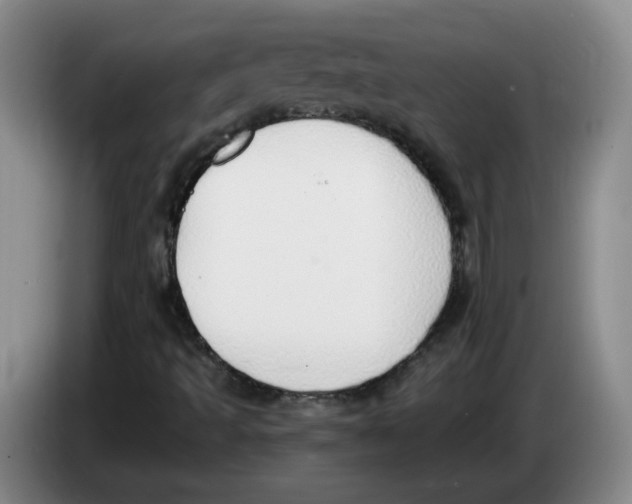 X0000083551493200703091543