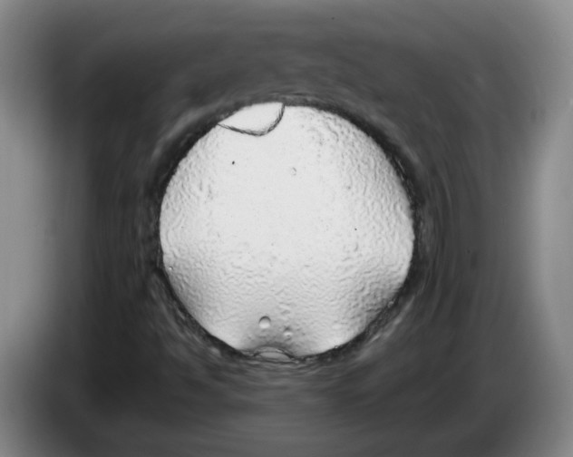 X0000083551494200703091543