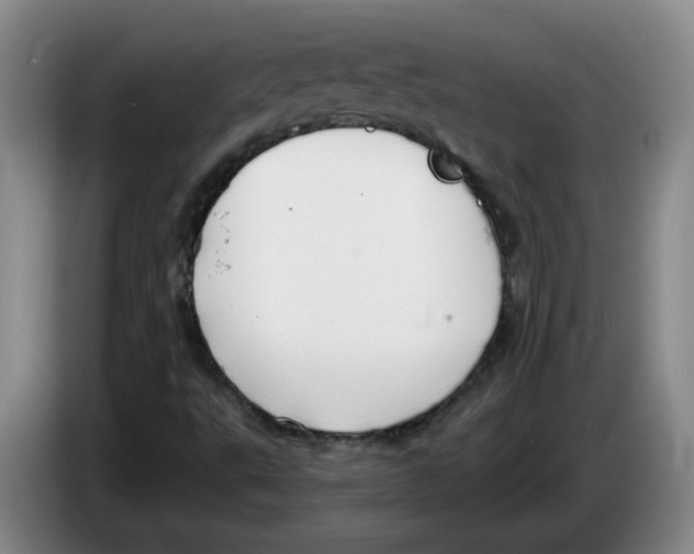 X0000083551495200703091543