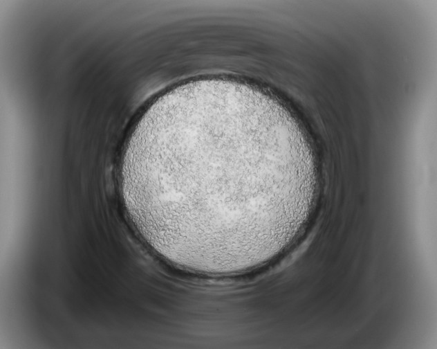X0000083551497200703091543