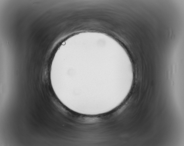 X0000083551498200703091543