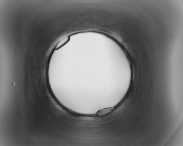 X0000083551500200703091543