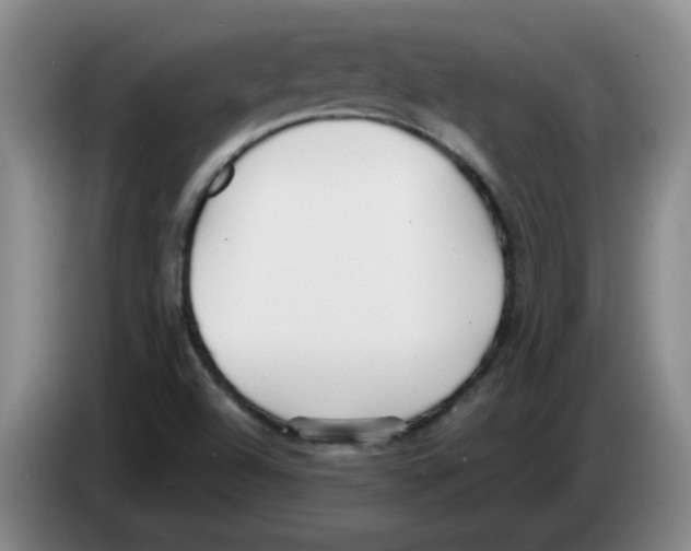 X0000083551504200703091543