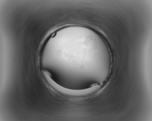 X0000083551506200703091543