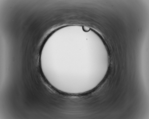 X0000083551507200703091543