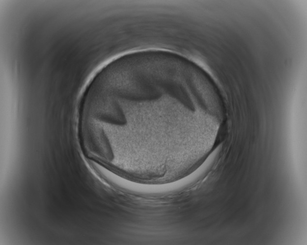 X0000083551508200703091543