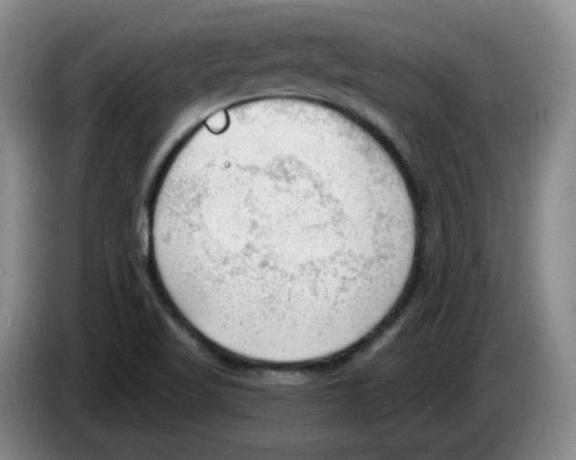 X0000083551509200703091543