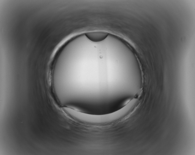 X0000083551510200703091543