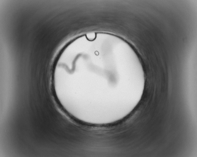 X0000083551511200703091543