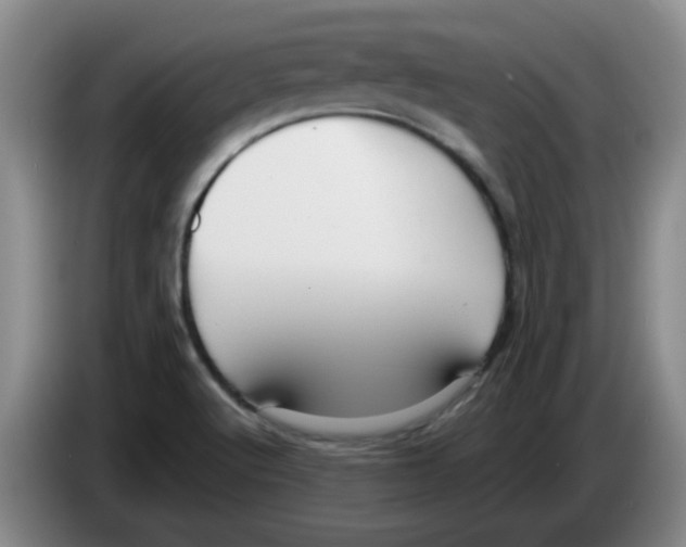 X0000083551512200703091543
