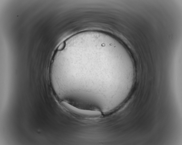 X0000083551513200703091543