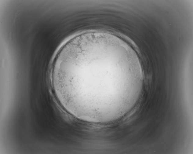 X0000083551514200703091543