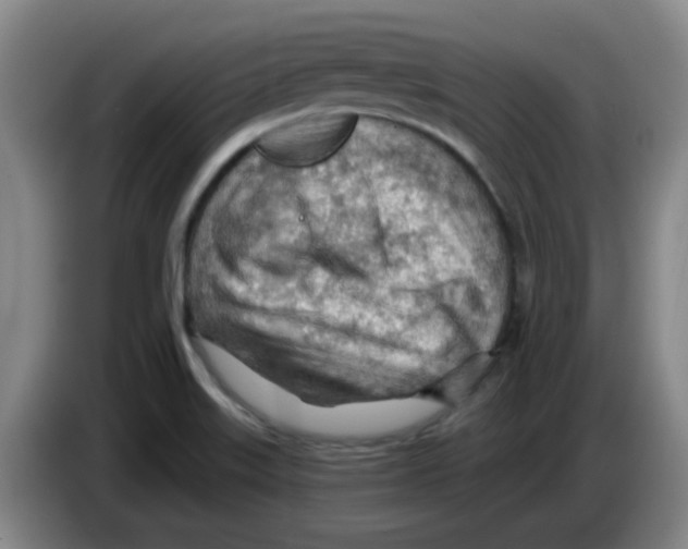 X0000083551515200703091543