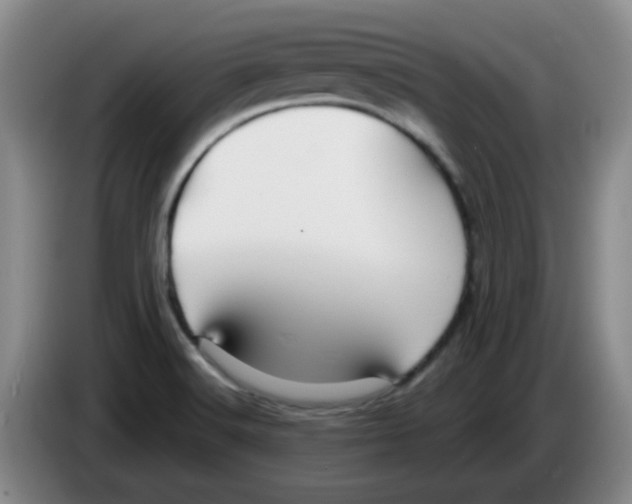 X0000083551516200703091543