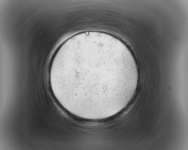 X0000083551517200703091543