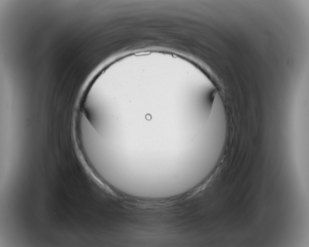 X0000083551518200703091543