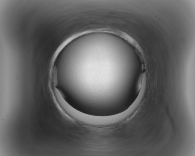 X0000083551520200703091543
