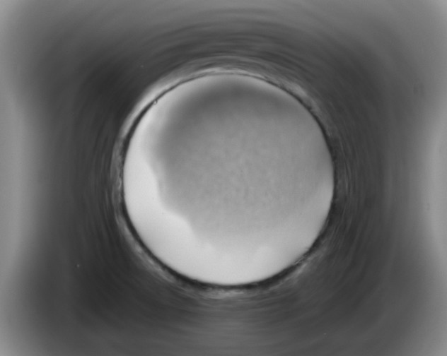 X0000083551522200703091543
