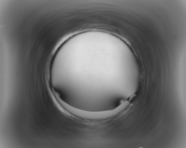 X0000083551523200703091543