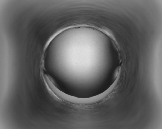 X0000083551524200703091543