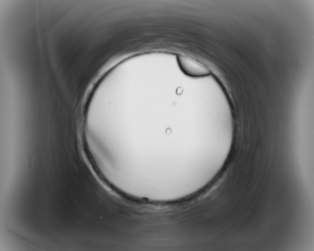 X0000083551525200703091543