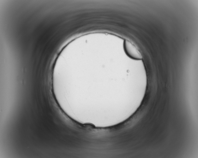 X0000083551526200703091543