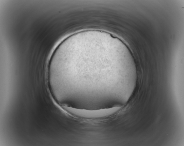 X0000083551527200703091543
